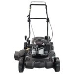 PowerSmart 21 in. 170cc 2-in-1 Gas Walk-Behind Mulching Push Lawn Mower, Black (DB8621CR)