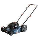 SENIX Gas Lawn Mower, 21-Inch, 140 cc 4-Cycle Briggs & Stratton Engine, 2-in-1 Push Lawnmower, 6-Position Height Adjustment with 11-Inch Rear Wheels, LSPG-M6, Blue