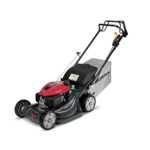 Honda 664130 HRX217HYA GCV200 Versamow System 4-in-1 21 in. Walk Behind Mower with Clip Director, MicroCut Twin Blades and Roto-Stop (BSS)