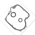 munirater Crankcase Gasket & Oil Seal Combo Replacement for Briggs & Stratton 697110 & 795387 Lawn Mower Part