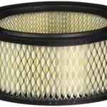Stens 100-198 Briggs and Stratton 393725 Air Filter