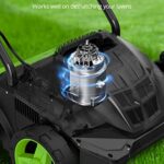 SWIPESMITH 13-Inch 12 Amp Electric Dethatcher Scarifier, 2-in-1 Lawn Dethatcher with Two Safety Switches, 4-Position Depth Adjustment, Scarifier with Foldable Handle, for Lawn, Garden, Yard