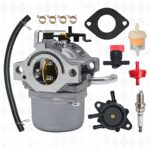 590399 Carburetor for Briggs & Stratton 590399 796077 Compatible with B & S 21A807 21A877 21A902 21B972 21A977 21D807 215702 215802 215872 217807 217902 217907 Lawn Mower Engine