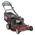 Toro TimeMaster 30 in. Briggs & Stratton Personal Pace Self-Propelled Walk-Behind Gas Lawn Mower with Spin-Stop